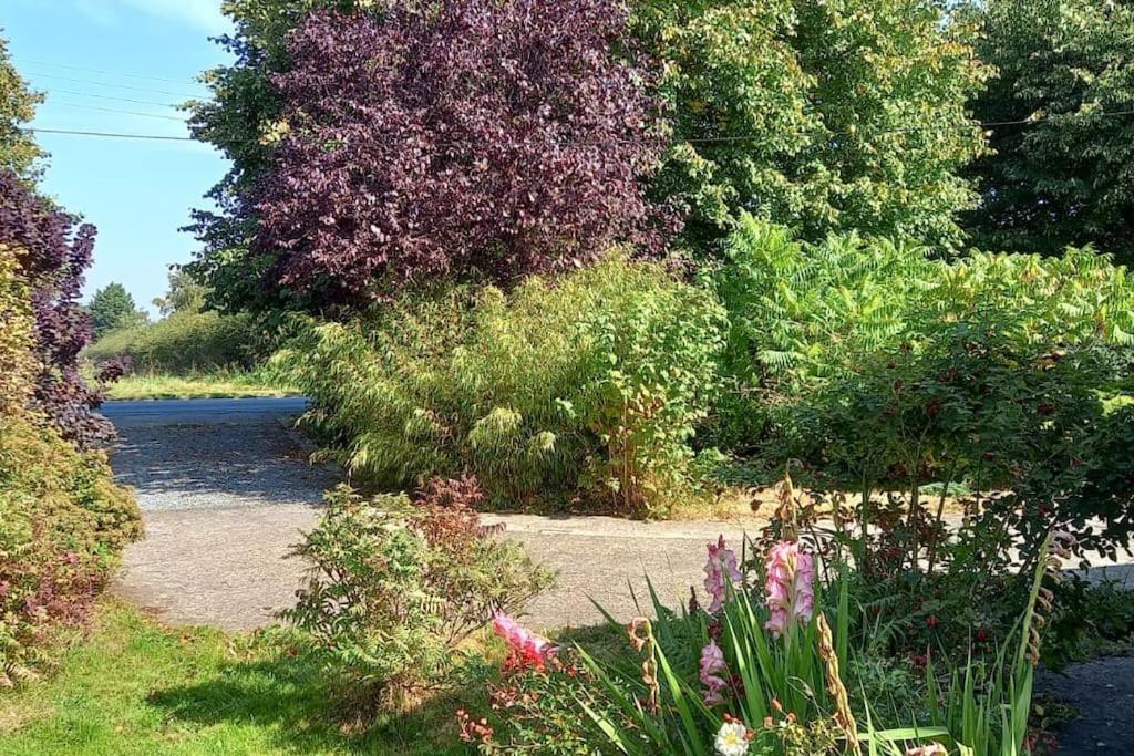 Millfields Cottage And Garden Goxhill  Esterno foto
